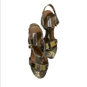 Steve Madden Snake Print with Gold Embellishments.